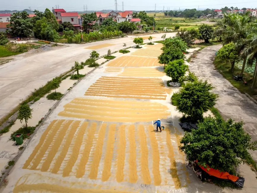 Nhà 2 tầng có sân phơi nông sản ở nông thôn