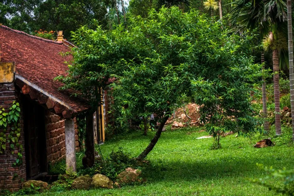 Nhà cấp 4 sân vườn rộng phù hợp đất ngoại ô